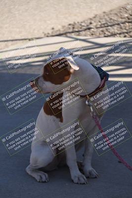 media/Oct-21-2023-Speed Ventures (Sat) [[ddf75163c5]]/Around the Pits/